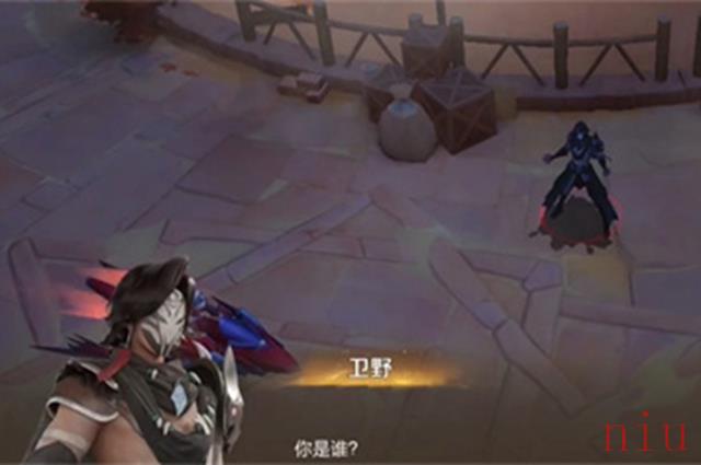 王者荣耀卫野是谁
