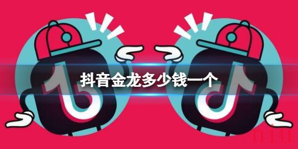 抖音金龙多少钱一个