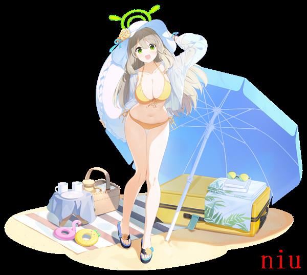 蔚蓝档案泳装野宫介绍