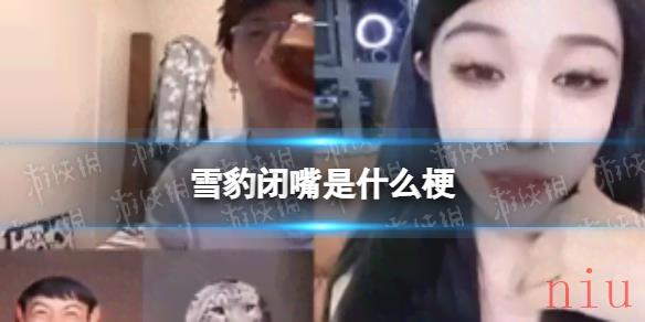 雪豹闭嘴是什么梗