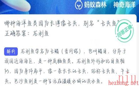 神奇海洋正确答案10.10