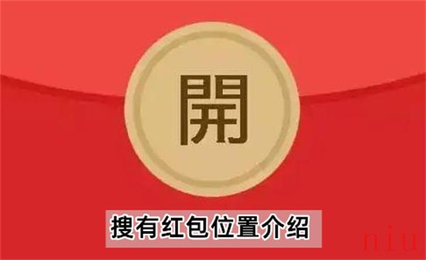 搜有红包在哪里