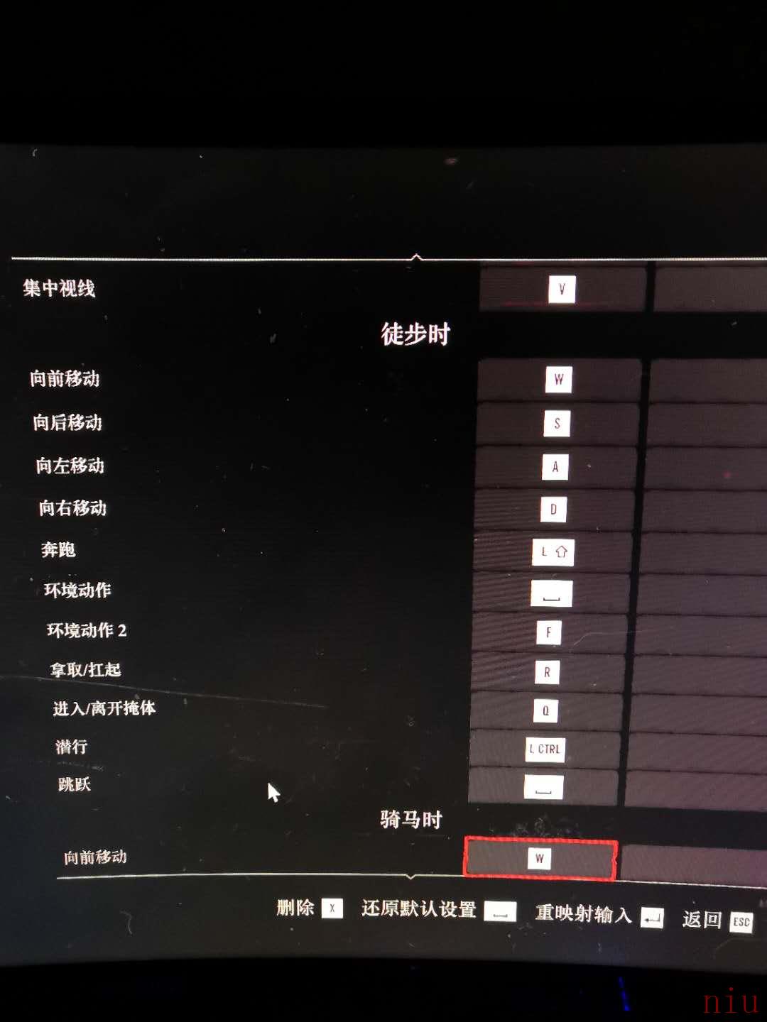 荒野大镖客2电脑按键是哪些