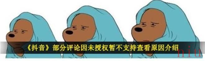 抖音部分评论因未授权暂不支持查看怎么回事