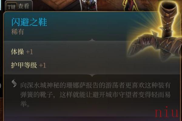 博德之门3闪避之鞋在哪