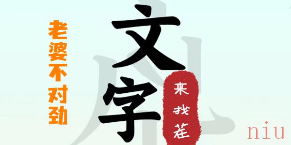 文字来找茬老婆不对劲攻略