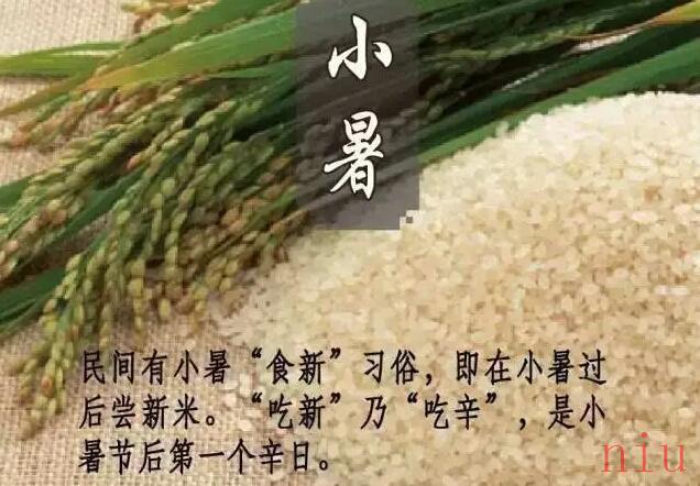 蚂蚁庄园小课堂7月7日每日一题答案