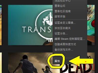 铁拳7中文设置教程