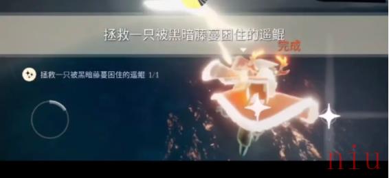 光遇6月1日每日任务