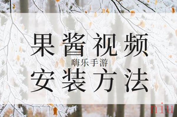 果酱视频怎么安装