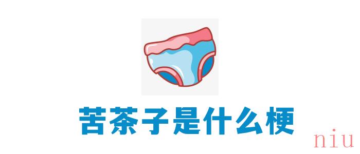 苦茶子是什么梗