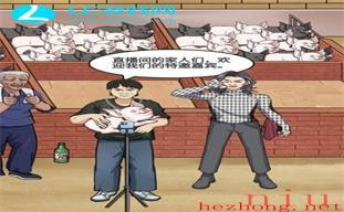 就挺秃然的直播卖猪通关攻略