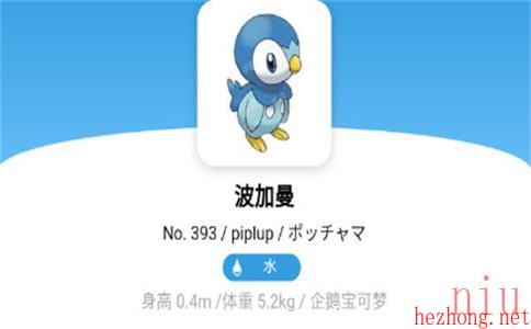 宝可梦朱紫波加曼属性介绍