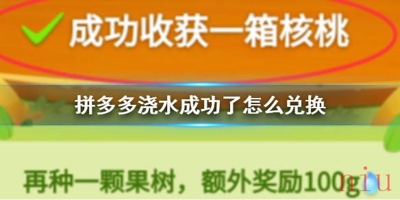 拼多多浇水成功了怎么兑换