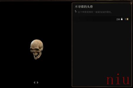 博德之门3不寻常的头骨谜语介绍