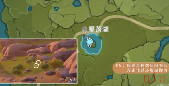 原神风车菊在哪里购买