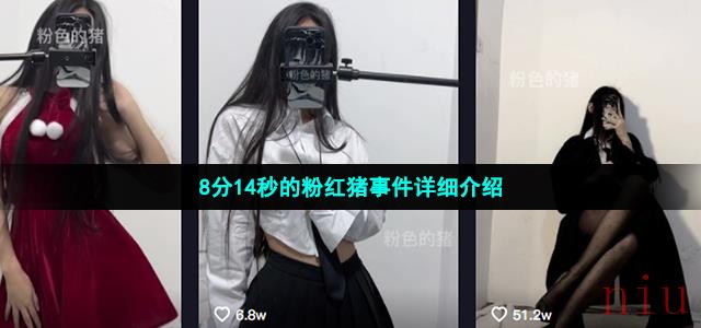 抖音粉色的猪圈是什么梗