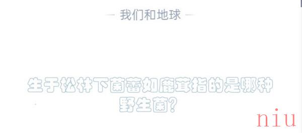 蚂蚁庄园今天答案5月18日