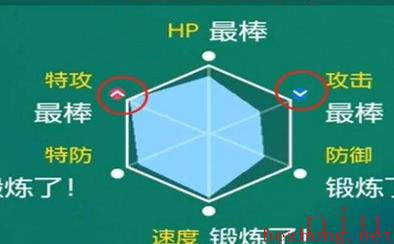 宝可梦朱紫怎么看精灵的性格 宝可梦朱紫查看精灵性格方法教程