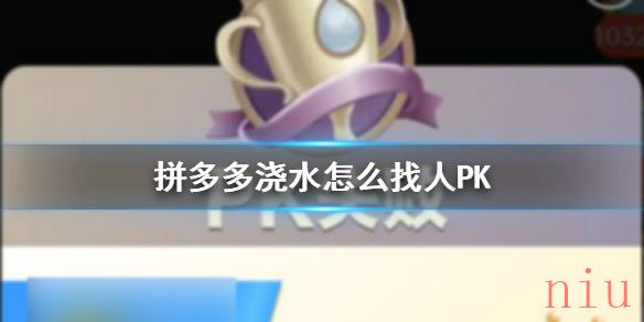 拼多多浇水怎么找人PK