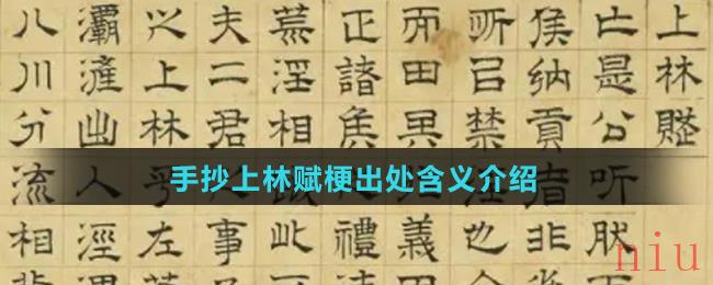 手抄上林赋是什么梗