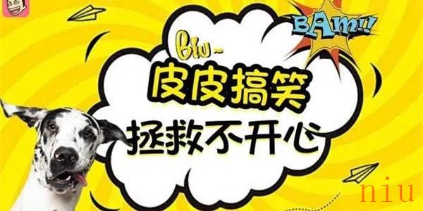 皮皮搞笑app如何养鲲