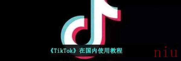 tiktok在国内怎么用
