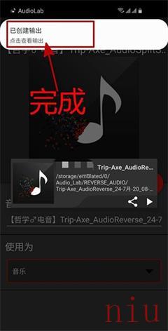 audiolab专业版