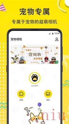 宠物相机app