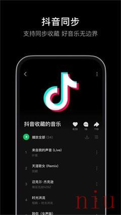 汽水音乐app